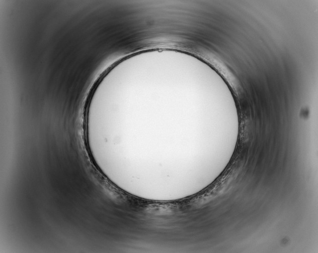 X0000103931051200810101349