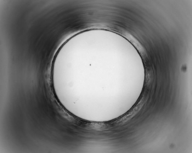 X0000103931052200810101349