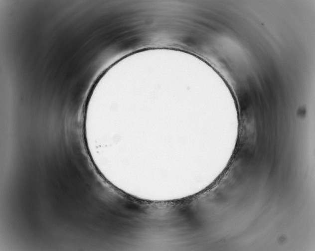 X0000103931053200810101349