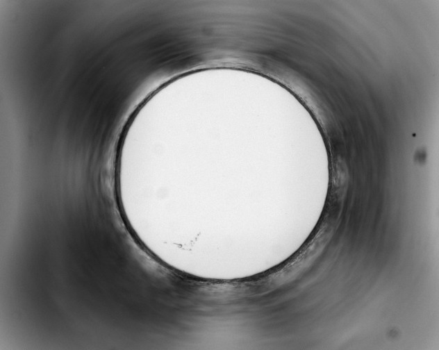 X0000103931054200810101349