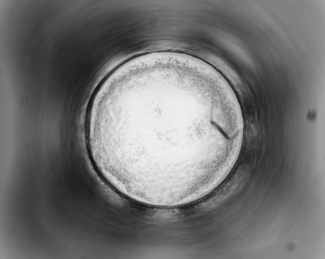 X0000103931055200810101349