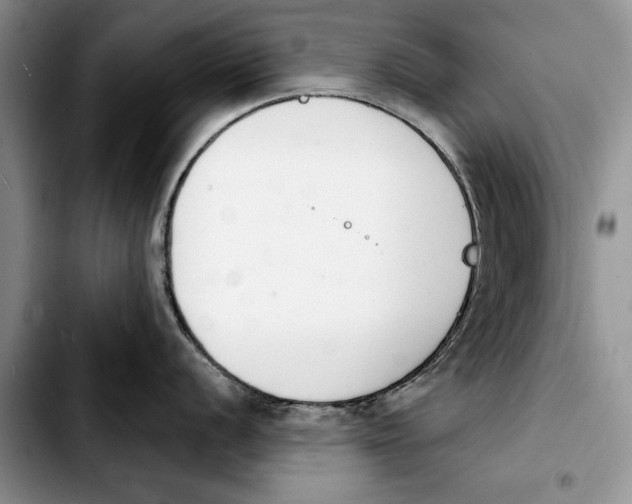 X0000103931056200810101349