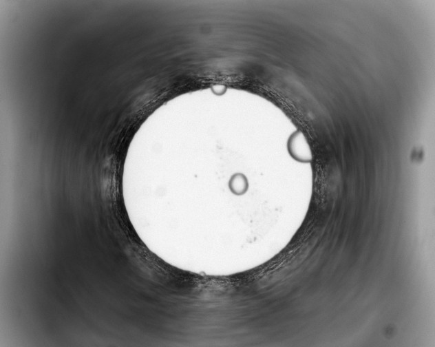 X0000103931058200810101348