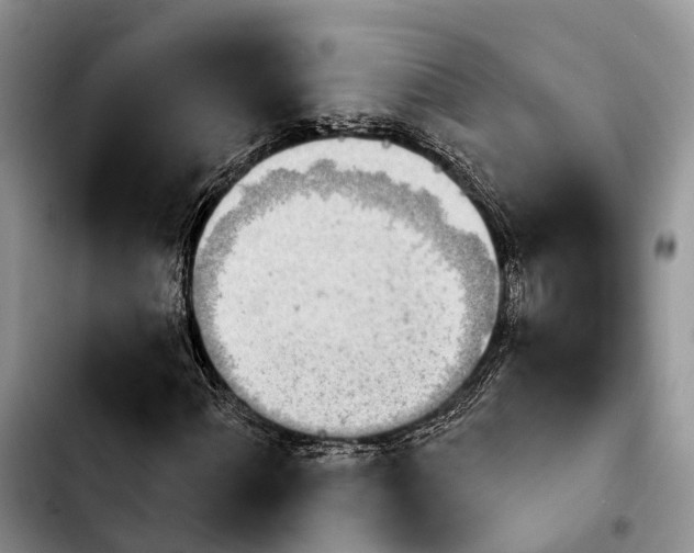 X0000103931060200810101348