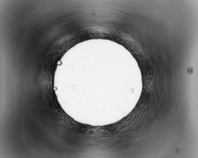 X0000103931061200810101348