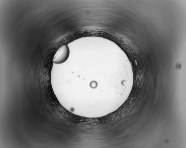 X0000103931062200810101348