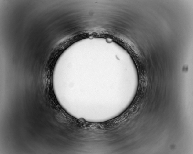 X0000103931063200810101348