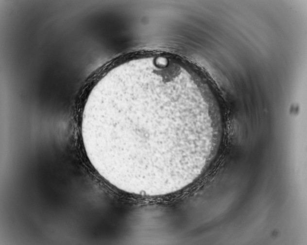 X0000103931064200810101348