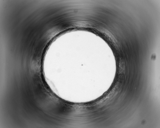 X0000103931065200810101348