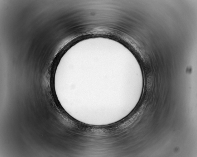 X0000103931066200810101348