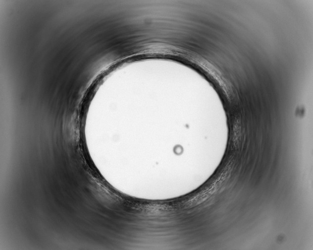 X0000103931067200810101348