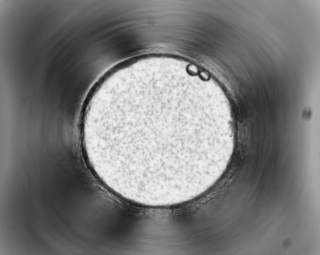 X0000103931068200810101348