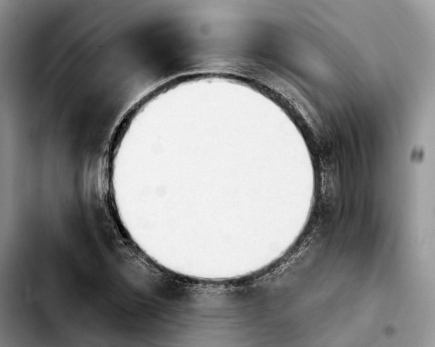 X0000103931069200810101348