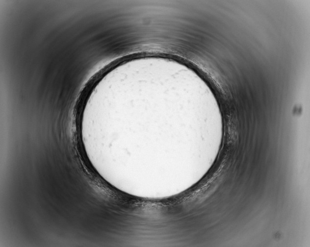 X0000103931070200810101348