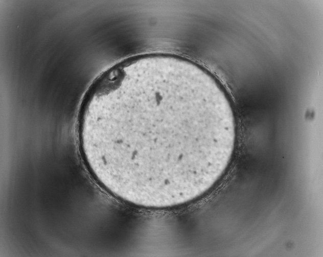 X0000103931072200810101348