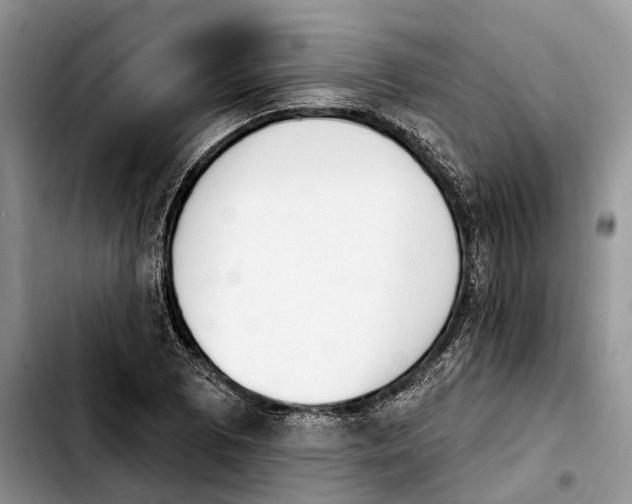 X0000103931073200810101348