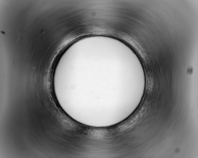 X0000103931074200810101348