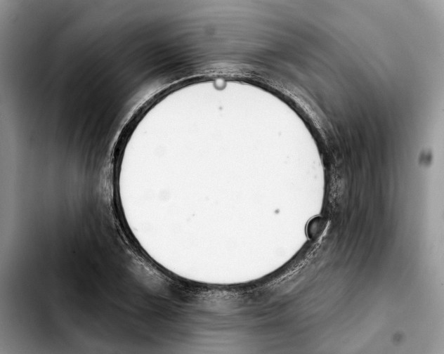 X0000103931075200810101348