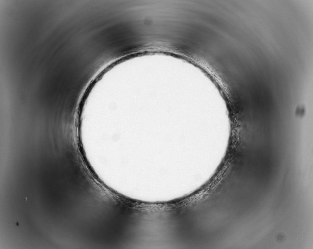 X0000103931076200810101348