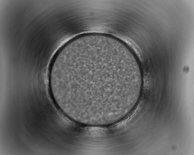 X0000103931077200810101348