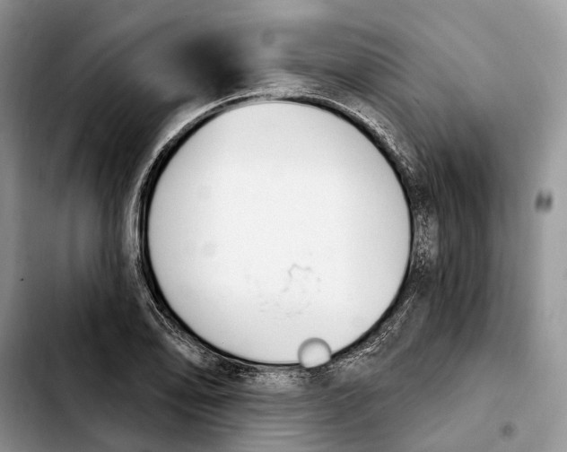 X0000103931078200810101348