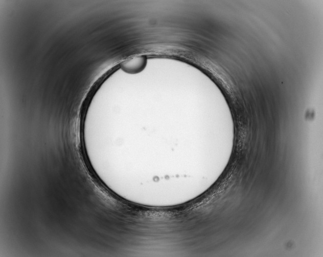 X0000103931079200810101348