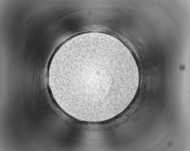 X0000103931080200810101348