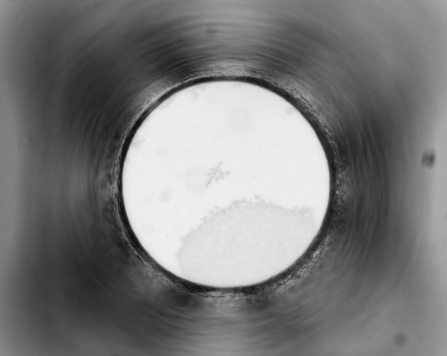 X0000103931081200810101348