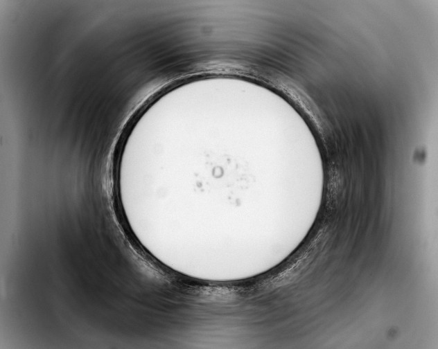 X0000103931082200810101348