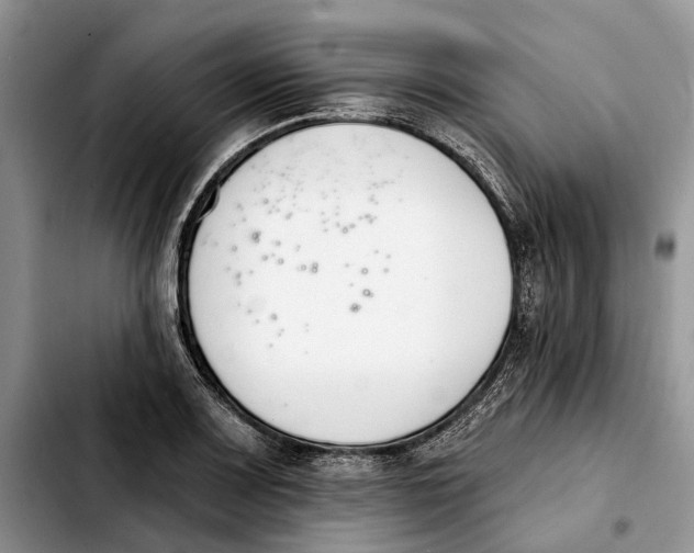 X0000103931083200810101348