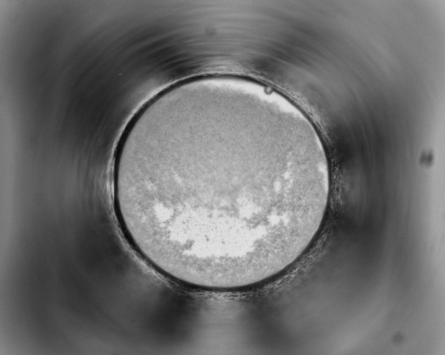 X0000103931084200810101348