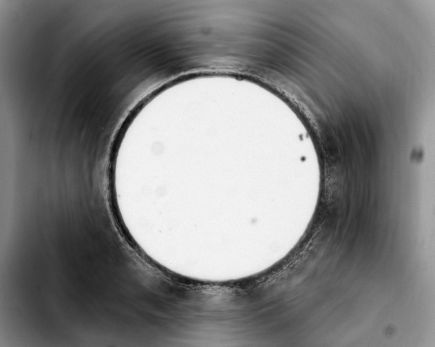 X0000103931085200810101348