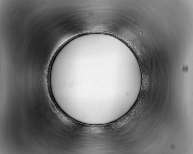 X0000103931086200810101348