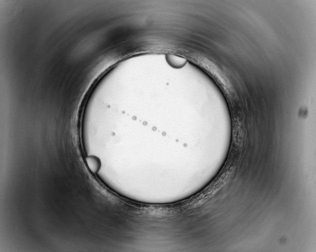 X0000103931087200810101348