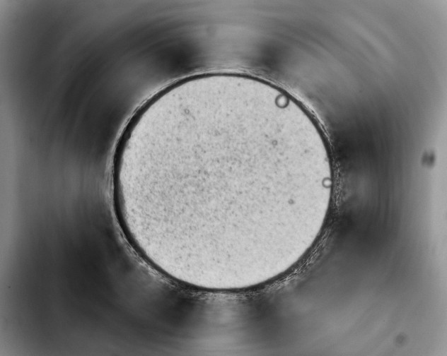 X0000103931088200810101348