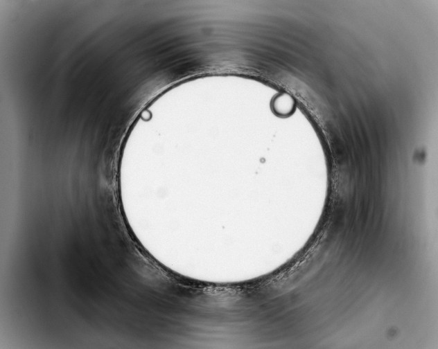 X0000103931089200810101348