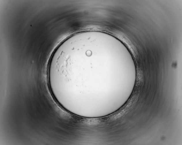 X0000103931090200810101348