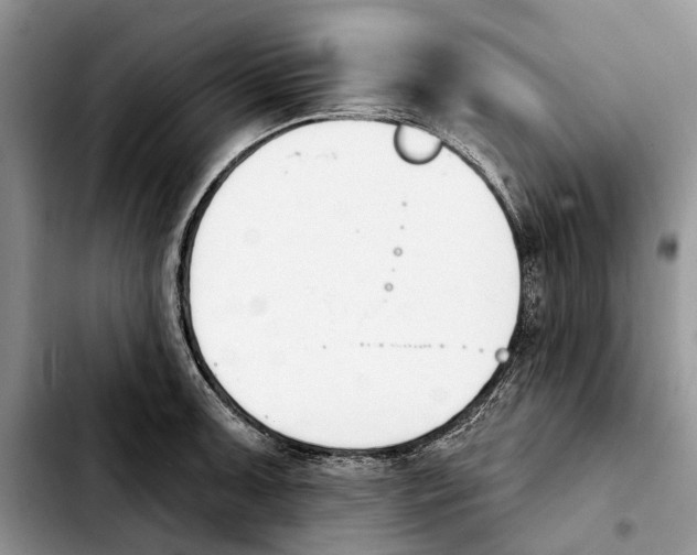 X0000103931091200810101348