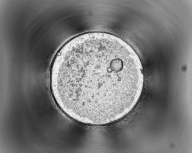 X0000103931092200810101348