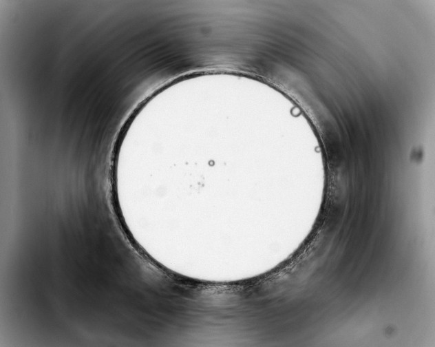 X0000103931093200810101348