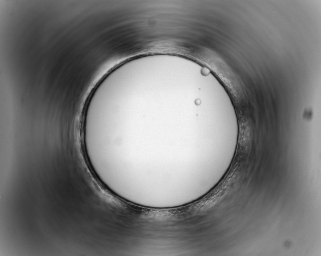 X0000103931094200810101348