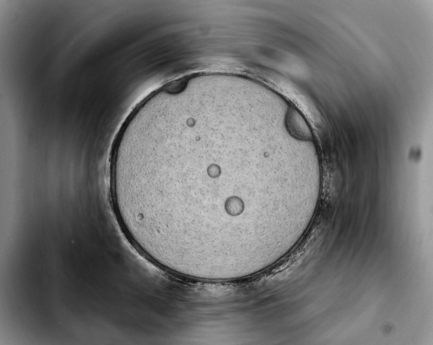 X0000103931095200810101348