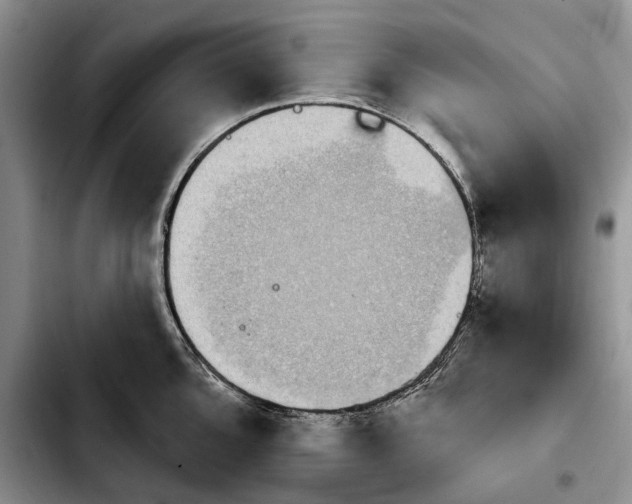 X0000103931096200810101348