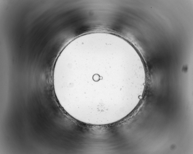 X0000103931097200810101348