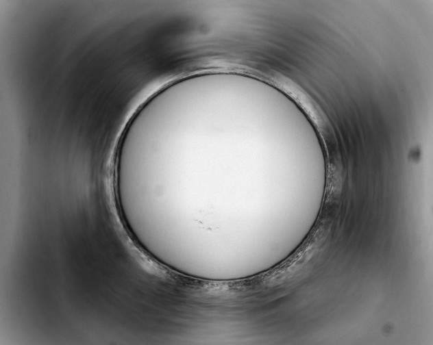 X0000103931098200810101348