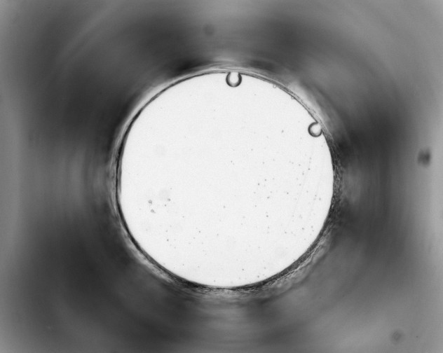 X0000103931100200810101348