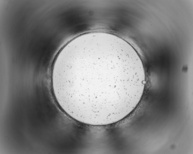 X0000103931101200810101347