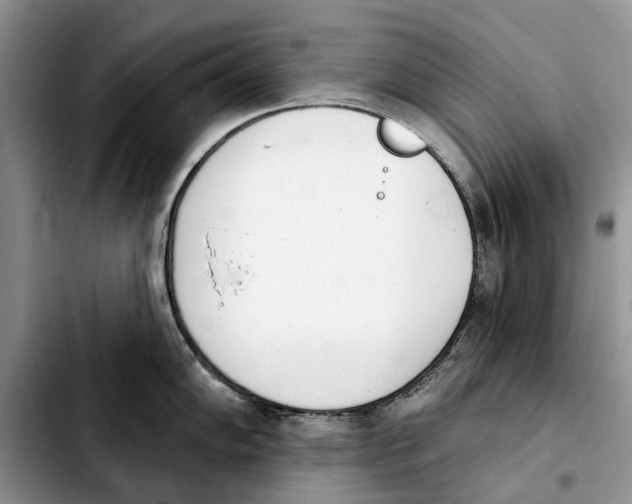 X0000103931102200810101347