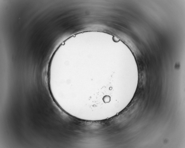 X0000103931103200810101347