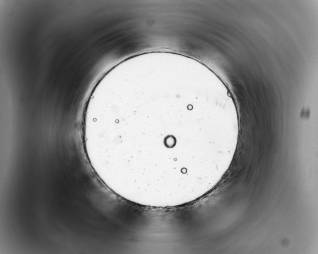 X0000103931104200810101347